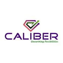 CALIBER MINING AND LOG L logo